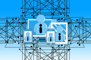 开yun体育-NBA联盟裁判执法技术辅助研究，nba职业篮球裁判证