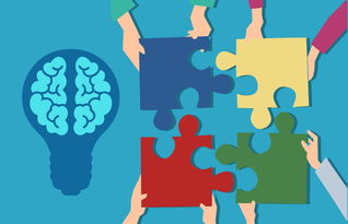 开云体育官方网站-中小学课程内容创新，中小学创新教育